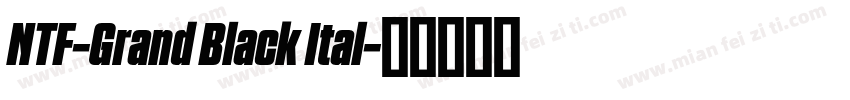NTF-Grand Black Ital字体转换